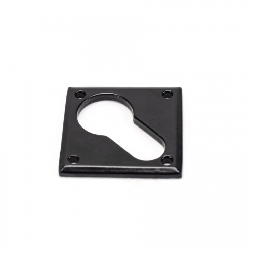 Black Diamond Euro Escutcheon